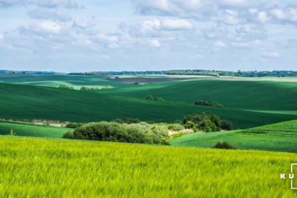 Дніпровські фермери лишилися без землі через бюрократичні зволікання