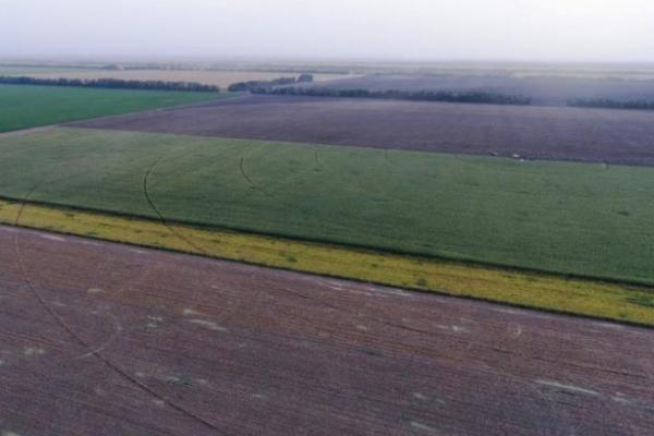 VITAGRO PARTNER запровадив акцію Надійний захист від бур’янів