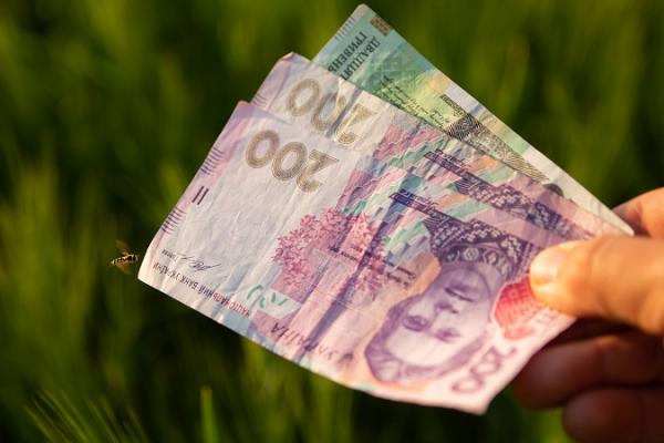 В Україні відшкодовуватимуть вартість генераторів для елеваторів