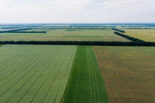 В Україні ціна на оренду землі впаде до рівня 2012 року — прогноз