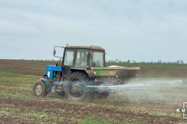 Ціни на добрива можуть знизитись на фоні падіння ціни на газ — думка