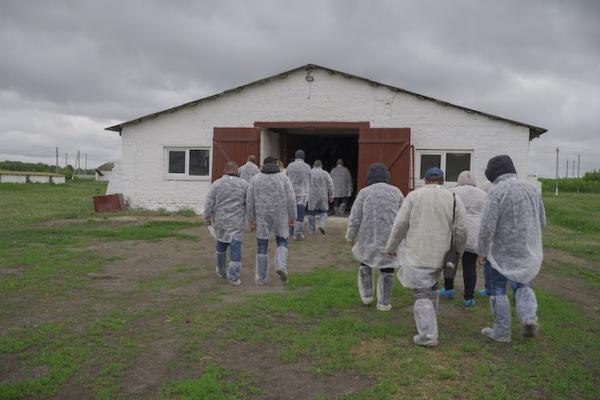 В Україні стартує новий безкоштовний проєкт для учасників агробізнесу