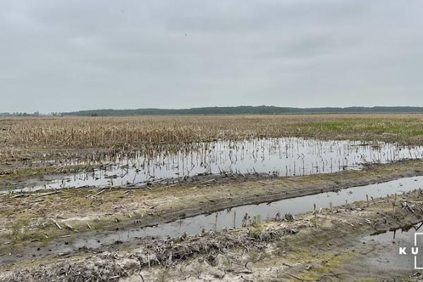 Банки вимагають кредити — проблеми фермерів деокупованої Херсонщини