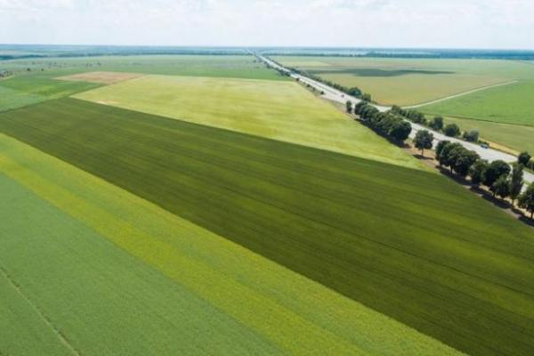 В Україні ціни на землю виросли на 20%