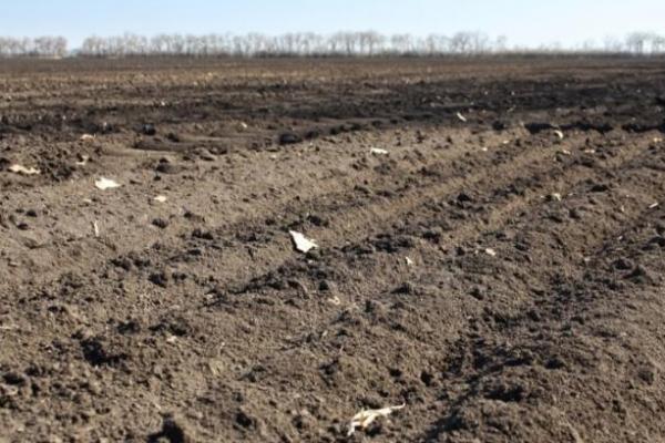 На Буковині проводять агрохімічну паспортизацію земель, обстежено 2720 га