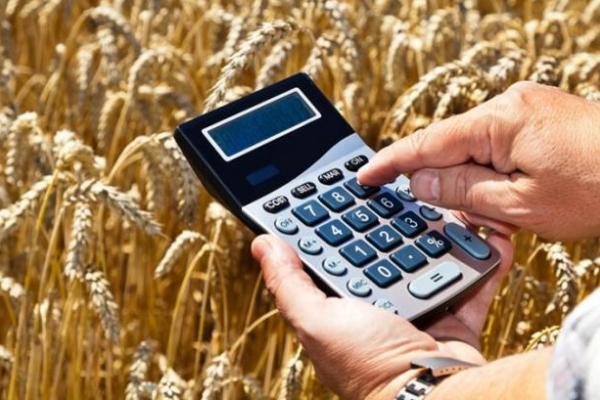 У 2023 р. близько 80 млрд грн кредитів отримали українські аграрії 
