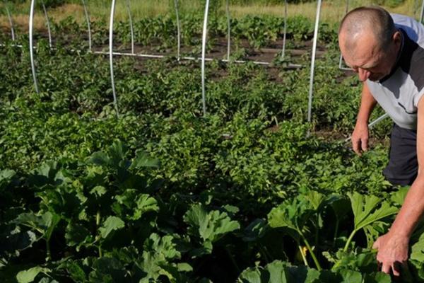 У Харкові волонтери створили торгівельну точку для фермерів з деокупованих громад