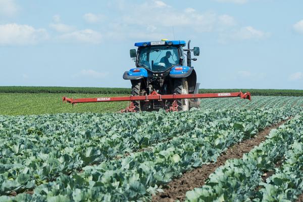 Орендна ставка від НГО зросте до 12%