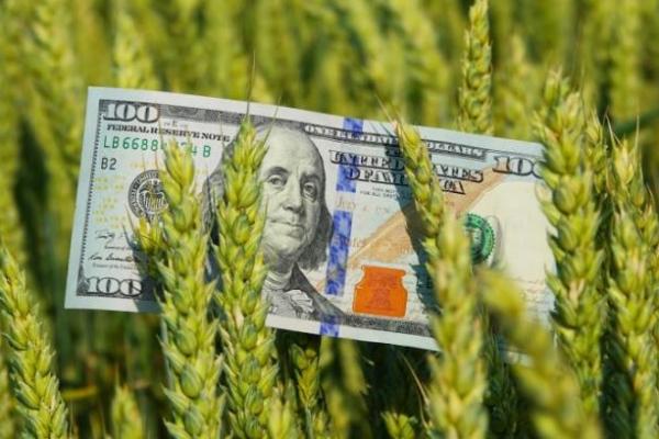 Фермерам презентували онлайн-сервіс купівлі товарів з відтермінуванням оплати