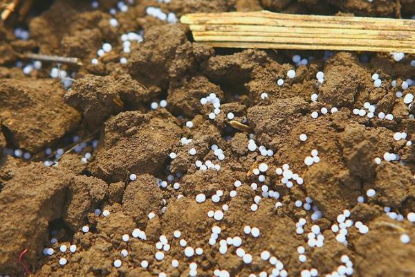 Ostchem має найбільший вплив на ціну азотних добрив