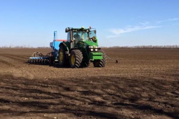 Негода після заморозків, аграрії поділились станом посівів на Заході і Півдні
