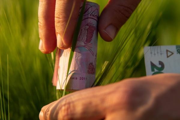 На Прикарпатті в агропідприємства викрали 1 млн грн з рахунку