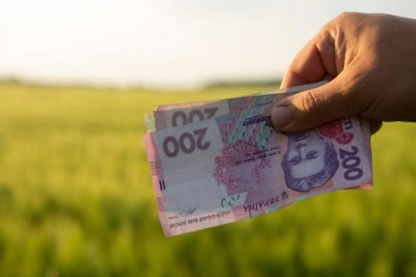 Фермери з окупованих територій звільнені від кредитних платежів на час війни