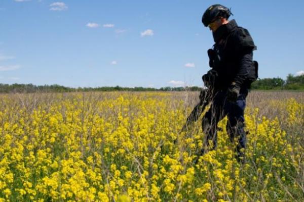 У липні оператори розмінування повернули до використання 330 га агроземель