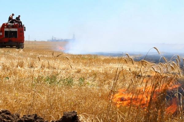 Палії трави призводять до масштабних пожеж на Дніпропетровщині