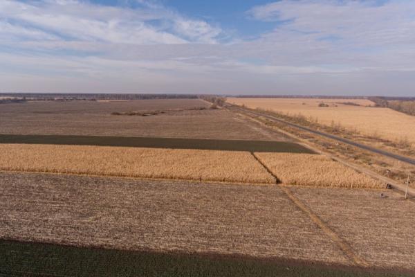 Колишні працівники Держгеокадастру розікрали 500 га земель на Дніпропетровщині