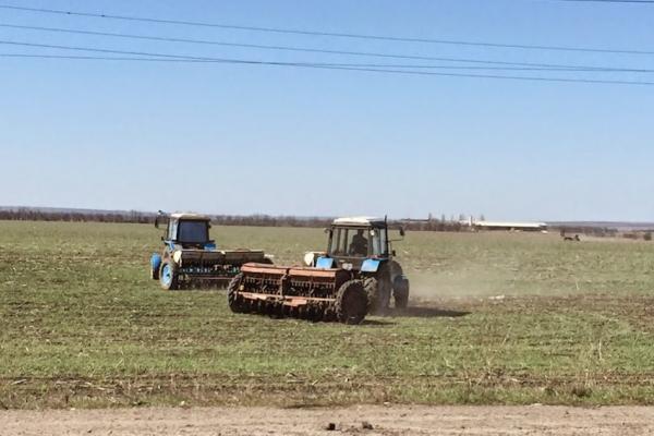 На Миколаївщині найнижча орендна плата за землю — Земельний банк