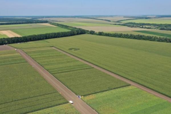 Понад 10 тисяч землевласників та інвесторів користуються застосунком «моЄ»