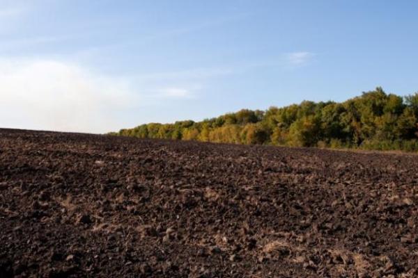 Прокуратура Кіровоградщини повернула землі, які фермер незаконно засіяв