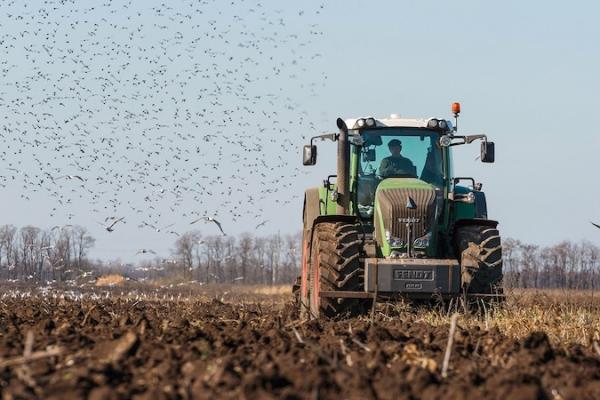 Бронювання, пільги та гранти — що нового приготувала влада для фермерів