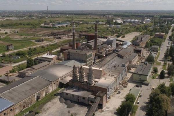 На Волині розпочали копати цукрові буряки, зібрано перші 30 тис. т