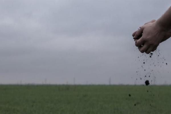 Фермер з Миколаївщини отримав вирок за підтримку та забезпечення окупантів продуктами