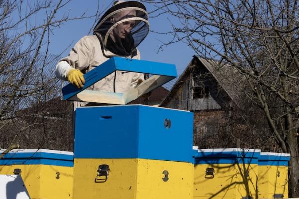 Українські фермери можуть отримати до 150 тисяч доларів на відновлення господарств