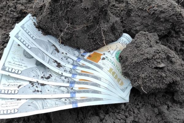 Фермерам у 2026 році виплачуватимуть дотації на гектар та підтримку за утримання худоби