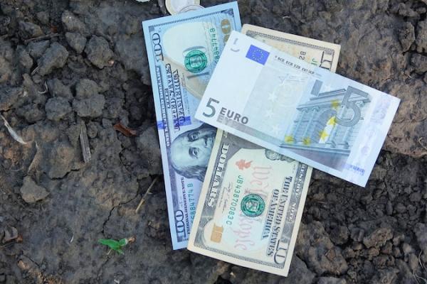 ФАО пропонує українським ягідникам та виноградарям гранти до $150 тисяч