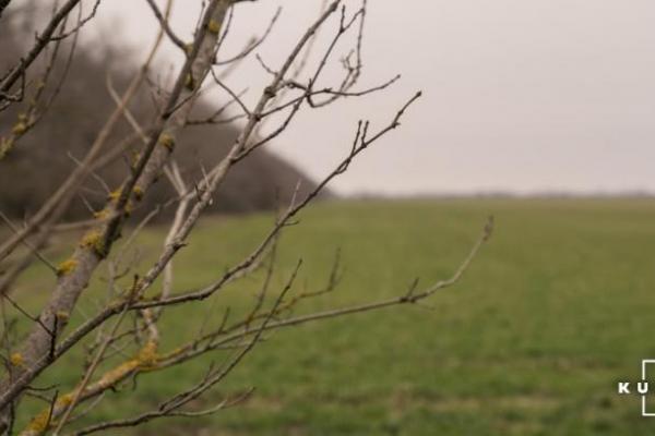 Норвегія виділила 40 млн крон на відновлення ґрунтів в Україні