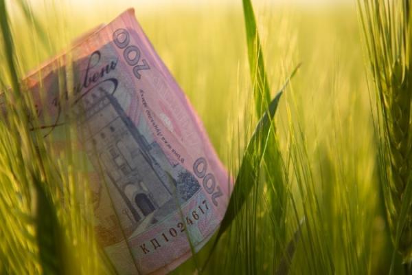 Фермери можуть отримати до 5 млн грн без застави через WEAGROBANK