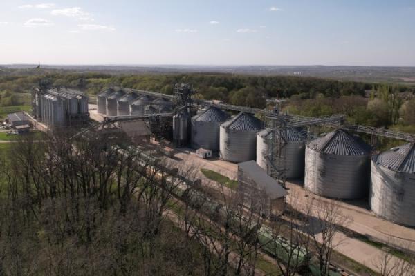 Елеватори підвищили тарифи на зберігання зерна на 10–20%