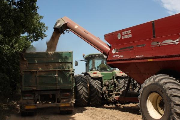 В Україні завершили збір ячменю вже в п'яти областях