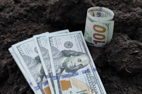 НБУ підвищив коефіцієнт врахування зерна як застави з 40% до 75%