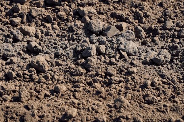 В Україні продовжує утримуватись ґрунтова посуха