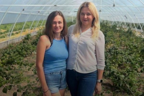 Фермерка з Вінниччини розвиватиме тепличне вирощування малини