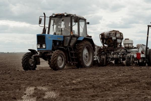 Мінагро прогнозує скорочення площ під озимою пшеницею