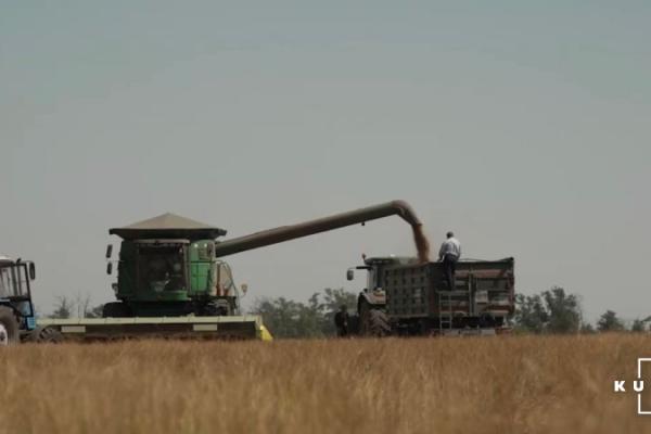 Жнива на полях «Ландекс Агро», Харківщина, 2026 р.
