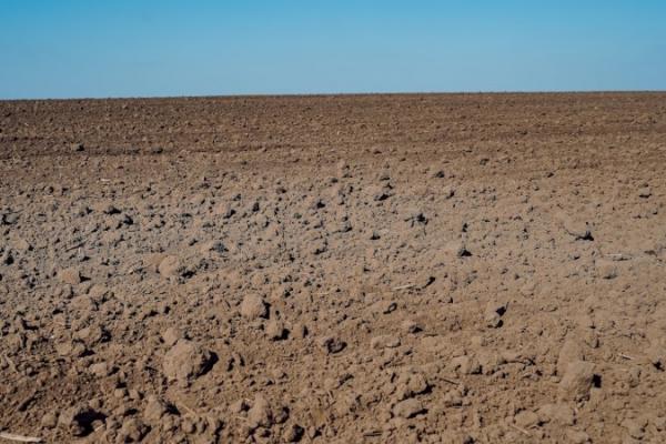 Посуха посилюється: в Україні бракує вологи для сівби озимих