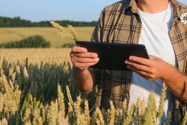 Аграрну ноту перевіряють на практиці на реальному кейсі