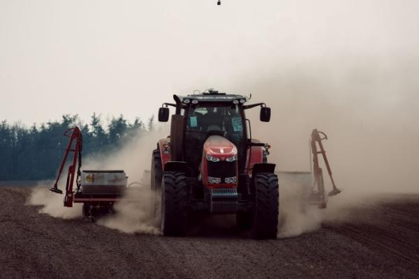 Кардинальних змін у структурі посівів озимого клину не очікується  — Висоцький