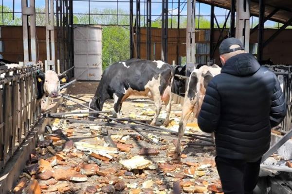 В Україні пропонують тимчасово підвищити ПДВ на 1% для компенсації воєнних втрат бізнесу