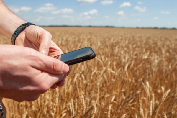 В Україні запрацювали нові штрафи за порушення правил обігу ГМО