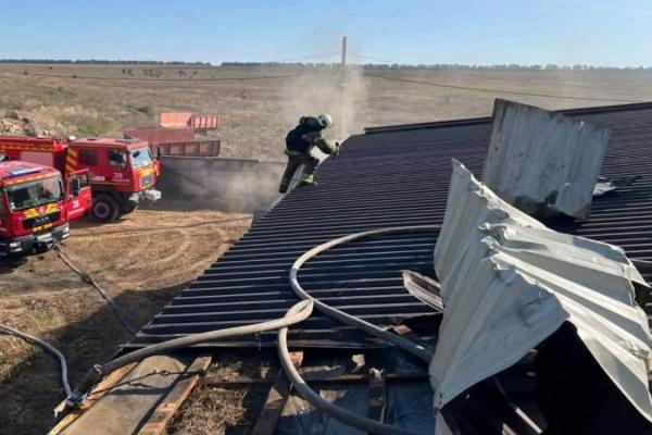Ворог атакував птахоферму на Одещині: частина птиці загинула