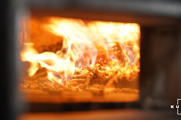 Зерно як паливо для сушарок: коли це доцільно для аграріїв