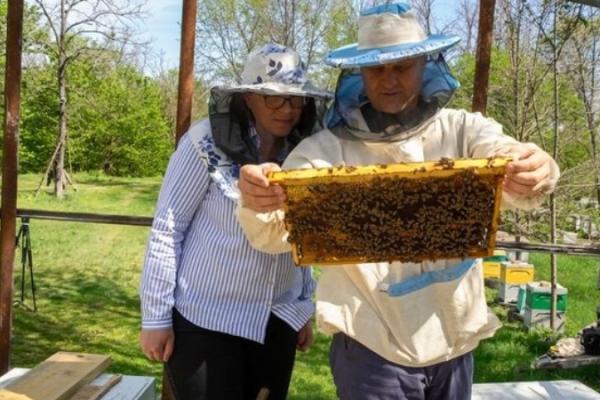 Ветеран з Кіровоградщини планує розширити виробництво продукції з меду