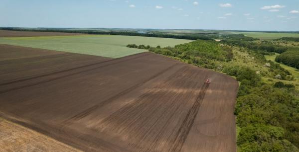 До кінця року вартість гектара землі становитиме $2200 — прогноз