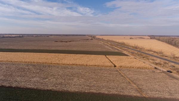 Колишні працівники Держгеокадастру розікрали 500 га земель на Дніпропетровщині