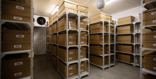 Дублетний центр генетичних ресурсів рослин Україн