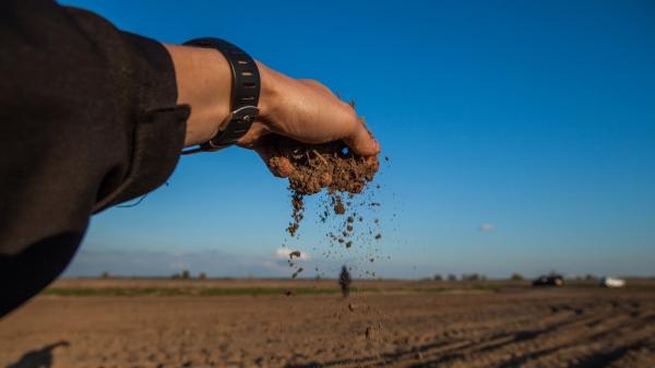 Ціни на землю можуть зрости у 2026 році — Денис Марчук